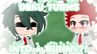 Deku turns into a bunny?! | MHA | DekuBowl |