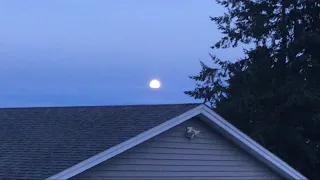 12/26/23 The Moon Rising in The East In The Early Evening from my Mom's House's Side Deck