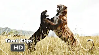 The Jungle Book (2016) - Shere Khan and Bagheera Fight Scene Tamil [6/15] | Movieclips Tamil