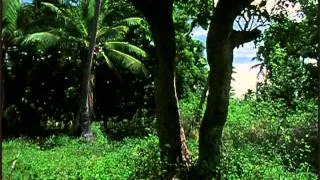 Kuo Hine 'E Hiapo: The Mulberry is White and Ready for Harvest Part 2