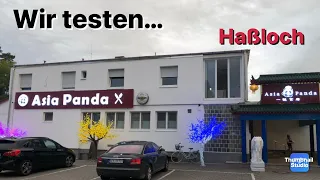 ASIA PANDA 🐼 Haßloch  | Wir testen Chinesische Buffet Restaurants | die PÜFFCHENS