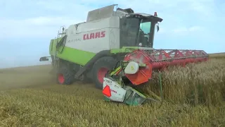 Уборка зерновых 2022 в СПК "Гигант"