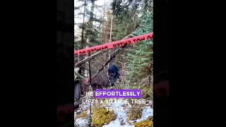 Real Big Foot Throws Tree goes Viral #viral #viralvideo #tiktok #bigfoot #scary #news #giant #shorts