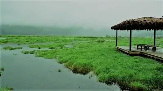 tumi ele, Onek diner pOre jeno | হেমন্ত মুখোপাধ্যায় : : HMV 'old mono' OST from LP