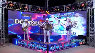 Los Desertores De Durango - Gerardo Galindo (En Vivo 2022)