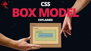Learn CSS BOX MODEL - With Real World Examples