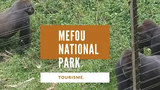 Visitez le Cameroun | La reserve de la mefou, one place one story  saison 1 episode 1