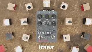 Red Panda - Tensor