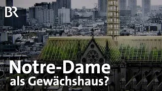 Ein Jahr nach dem Brand: Wiederaufbau von Notre-Dame | Gut zu wissen | BR