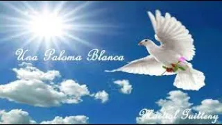 UNA PALOMA BLANCA | MIXED (LYRICS) - GREECE