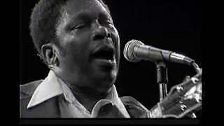 BB King  -  Live in Africa  -  ( Final concert)