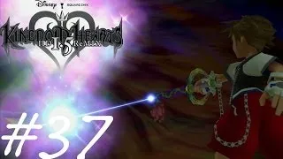 Let's Play Kingdom Hearts HD 1.5 Remix Part 37 - Here Comes A New Heartless!