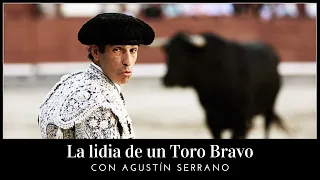 🐂 La lidia de un toro bravo🐂 con Agustín Serrano