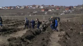 В Белгороде высадили дубовую рощу