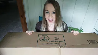 Perfect Plants Houseplant Unboxing