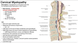 Cervical Myelopathy | Presentation, Risk Factors, & Signs/Symptoms