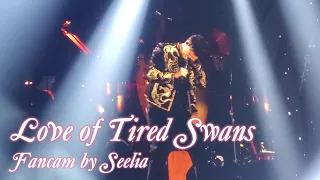 Dimash - Love of Tired Swans (fancam by Seelia) ~ Arnau New York Concert 2019 ENGLISH SUB