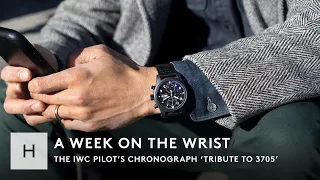 The IWC Pilot’s Chronograph ‘Tribute To 3705’: An Homage To A Cult Classic | A Week On The Wrist