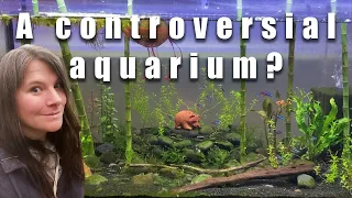 My first "Father Fish Tank" set up -- new 29 gallon neon tetra aquarium