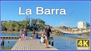 【4K】WALK La Barra Maldonado URUGUAY 4k video UY travel vlog