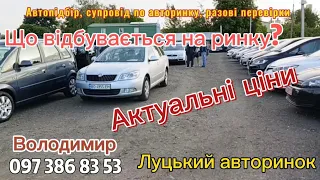 Луцький авторинок. 23.05.24. Актуальні ціни