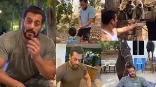 Watch How Salman Khan Spending His Time In Lockdown At His Panvel Farmhouse