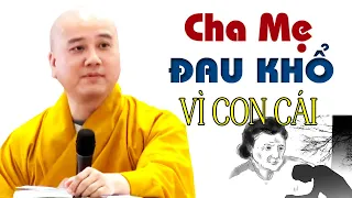 NGHIỆP GÌ MÀ khổ vì con cái Ngỗ Nghịch, Cha Mẹ Dạy Bảo Không Nghe   Thầy Thích Pháp Hòa