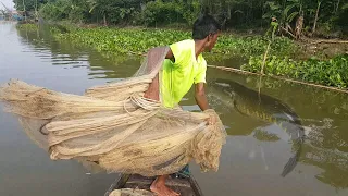 Best Net Fishing - Traditional Cast Net Fishing in Village River - Fishing by cast net