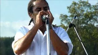 Jimmy Reed Medley by Kenny Neal at The Pennsylvania Blues Festival 2011