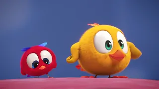 Onde está Chicky? 2022 |  EL JUGUETE DE POYO | Desenhos Animados Infantil