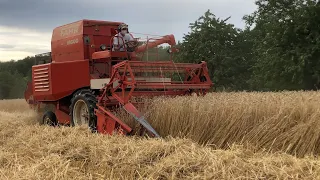 FAHR M600 Mähdrescher im Einsatz / Mähdrescher bei Getreideernte in Aktion