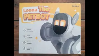 Loona Robot KeyiTech