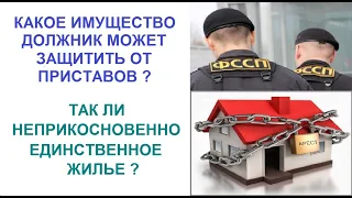 Какое имущество должник может защитить от приставов? Так ли неприкосновенно единственное жилье?