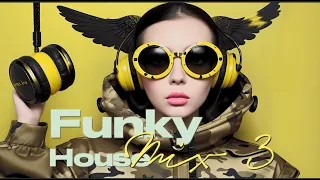 Funky House Mix #3 🎶  1 Hour 4K 🎛️ 2024