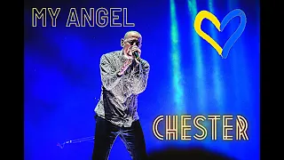 My Angel Chester (By Katty Shinoda)