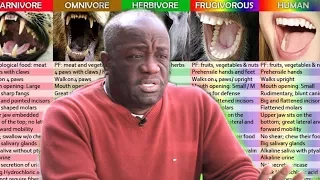 SCAVENGERS or HERBIVORES? Human Diet Explained - Dr. Milton Mills