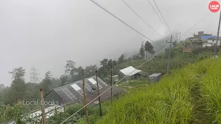 Rainy and Foggy Day Walk through the Mountain Valley Village