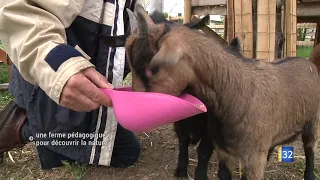 UNE FERME PÉDAGOGIQUE POUR DÉCOUVRIR LA NATURE