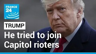 Trump tried to grab steering wheel to join Capitol rioters on Jan. 6, witness • FRANCE 24 English