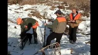 Ohio Pheasant Farm Hunting at Shooting Preserve Ranch on Thanksgiving