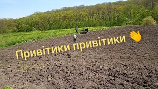 Все буде Україна 🇺🇦 Мотоблок Зубр в городі фризував.  Фриза. Мотоблок.