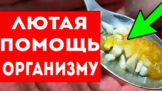 СЪЕДАЙТЕ ЧЕСНОК С МЕДОМ, вот что произойдет с организмом! Про здоровье и долголетие