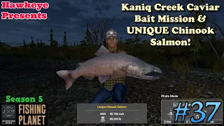 Fishing Planet #37 - S5 | Kaniq Creek Caviar Bait Mission & UNIQUE Chinook Salmon!