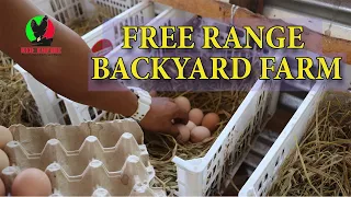 150sqm Only Free Range Backyard Farm