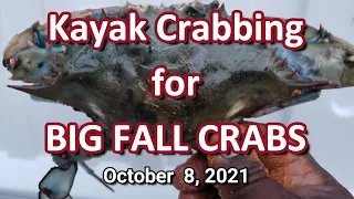 Kayak Crabbing for Big Fall Crabs 10-8-2021