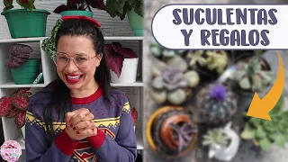 Las plantas que compré en México, regalos y suculentas de New York |Candy Bu