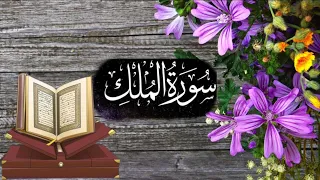 Surah Al Mulak || Recitation of Surah Al Mulak || Reduce for Azab E Qabr