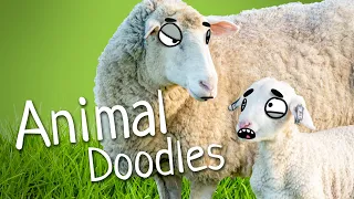 Animal Doodles Compilation 01 by Ricky Doodles