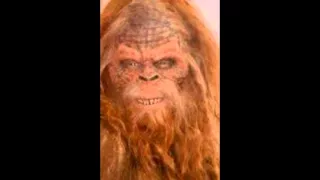 THE HOAX SHOW - Top 10 Fake Sasquatch/Bigfoot Footage Image Compilation 2016