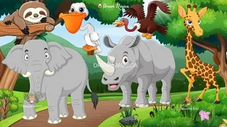 Funny Animal Sounds in 30 Minutes: Elephant, Rhino, Giraffe, Sloth, Pelican - ANIMAL (BGM)